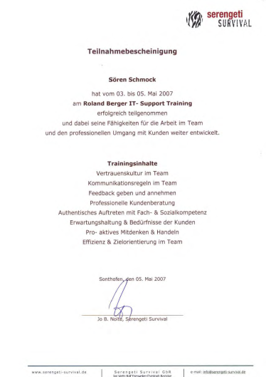 Roland Berger IT-Support Training